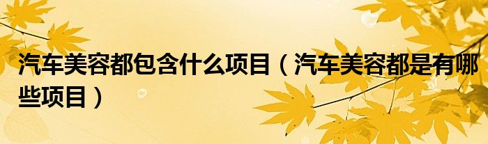 汽车美容都包含什么项目（汽车美容都是有哪些项目）