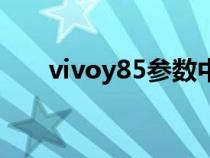 vivoy85参数中关村（vivoy85参数）