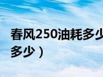 春风250油耗多少一公里（春风250nk油耗是多少）