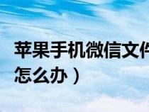 苹果手机微信文件打不开怎么办（文件打不开怎么办）