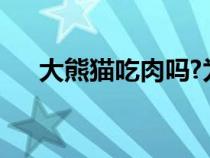大熊猫吃肉吗?为什么（大熊猫吃肉吗）