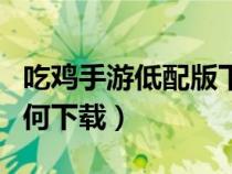 吃鸡手游低配版下载教程（吃鸡低配版手游如何下载）