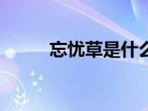 忘忧草是什么药（忘忧草是什么）