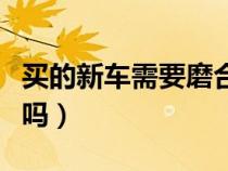 买的新车需要磨合期吗（买的新车还需要磨合吗）