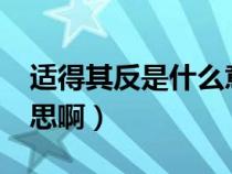 适得其反是什么意思啊?（适得其反是什么意思啊）