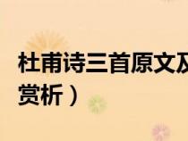 杜甫诗三首原文及注释（杜甫诗三首原文翻译赏析）