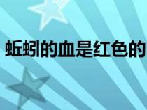 蚯蚓的血是红色的吗（蚯蚓的血是什么颜色）