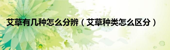 艾草有几种怎么分辨（艾草种类怎么区分）