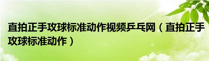 直拍正手攻球标准动作视频乒乓网（直拍正手攻球标准动作）