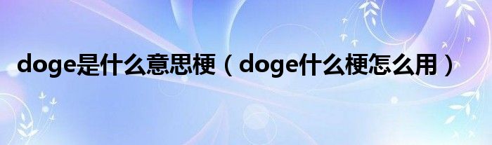 doge是什么意思梗（doge什么梗怎么用）