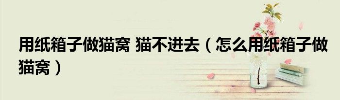 用纸箱子做猫窝 猫不进去（怎么用纸箱子做猫窝）