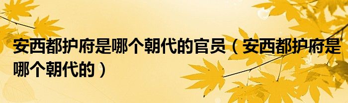 安西都护府是哪个朝代的官员（安西都护府是哪个朝代的）