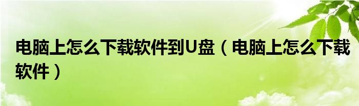 电脑上怎么下载软件到U盘（电脑上怎么下载软件）