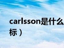 carlsson是什么车价格（carlsson是什么车标）