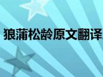 狼蒲松龄原文翻译三篇（狼蒲松龄原文翻译）