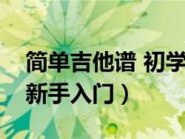 简单吉他谱 初学弹唱视频教学（简单吉他谱新手入门）