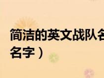 简洁的英文战队名字有哪些（简洁的英文战队名字）