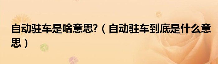 自动驻车是啥意思?（自动驻车到底是什么意思）
