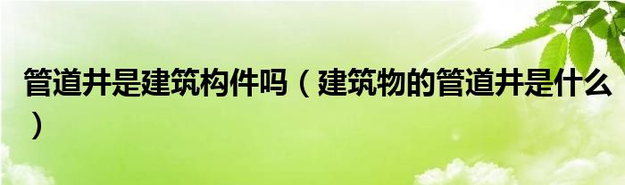 管道井是建筑构件吗（建筑物的管道井是什么）