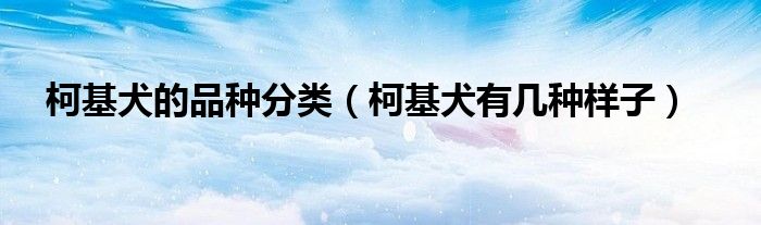 柯基犬的品种分类（柯基犬有几种样子）