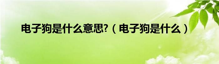 电子狗是什么意思?（电子狗是什么）