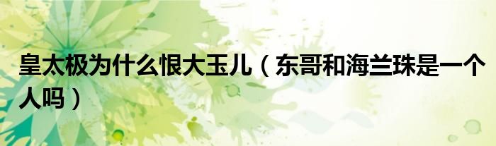 皇太极为什么恨大玉儿（东哥和海兰珠是一个人吗）