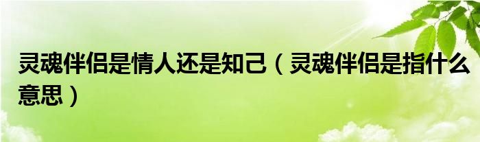 灵魂伴侣是情人还是知己（灵魂伴侣是指什么意思）