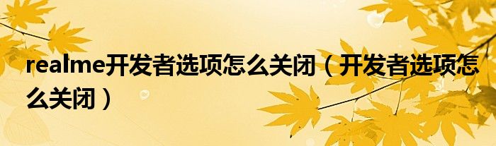 realme开发者选项怎么关闭（开发者选项怎么关闭）