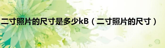 二寸照片的尺寸是多少kB（二寸照片的尺寸）