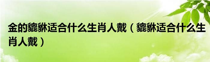 金的貔貅适合什么生肖人戴（貔貅适合什么生肖人戴）