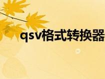 qsv格式转换器安卓版（qsv格式转换）