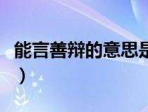 能言善辩的意思是什么生肖（能言善辩的意思）