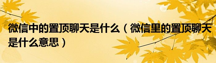 微信中的置顶聊天是什么（微信里的置顶聊天是什么意思）