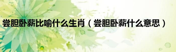 尝胆卧薪比喻什么生肖（尝胆卧薪什么意思）