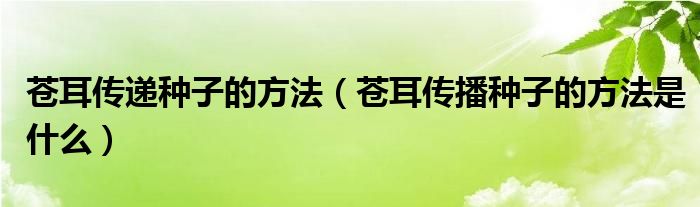 苍耳传递种子的方法（苍耳传播种子的方法是什么）