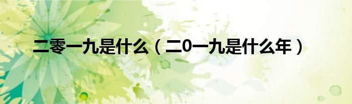 二零一九是什么（二0一九是什么年）