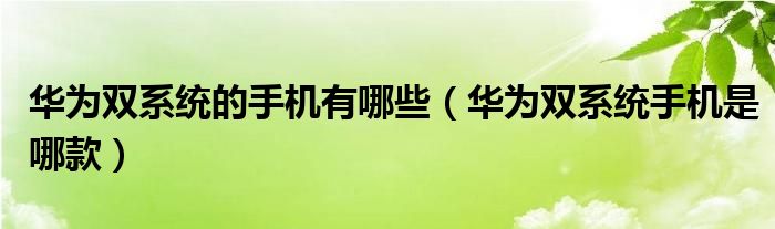 华为双系统的手机有哪些（华为双系统手机是哪款）