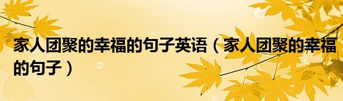 家人团聚的幸福的句子英语（家人团聚的幸福的句子）