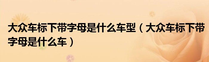 大众车标下带字母是什么车型（大众车标下带字母是什么车）