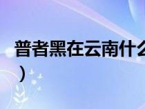 普者黑在云南什么镇（普者黑在云南哪个城市）