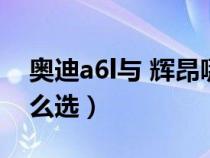 奥迪a6l与 辉昂哪一个好（奥迪a6l和辉昂怎么选）