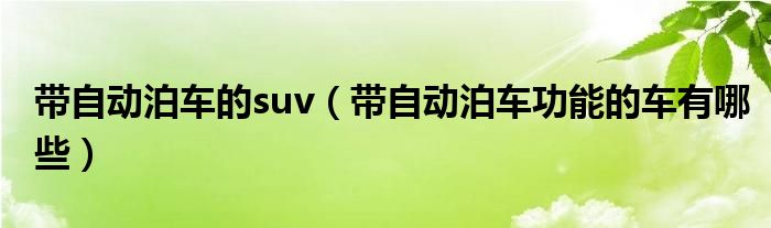带自动泊车的suv（带自动泊车功能的车有哪些）