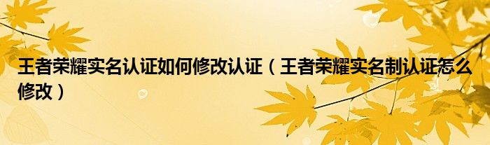 王者荣耀实名认证如何修改认证（王者荣耀实名制认证怎么修改）