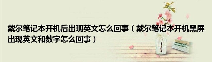 戴尔笔记本开机后出现英文怎么回事（戴尔笔记本开机黑屏出现英文和数字怎么回事）