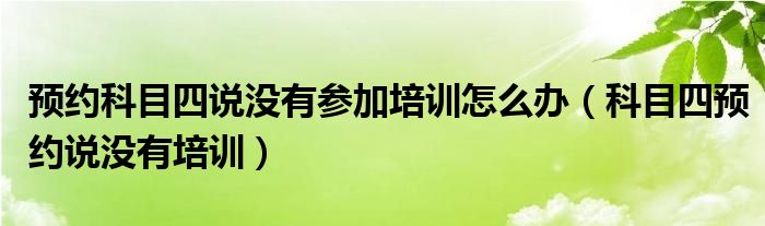 预约科目四说没有参加培训怎么办（科目四预约说没有培训）