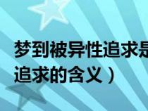梦到被异性追求是什么意思（做梦梦到被异性追求的含义）