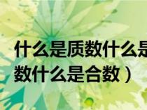 什么是质数什么是合数什么是因数（什么是质数什么是合数）