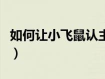 如何让小飞鼠认主人（如何培养小飞鼠认主人）