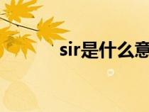 sir是什么意思（it是什么意思）