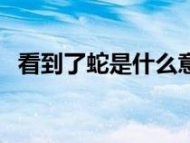 看到了蛇是什么意思（看到蛇是什么寓意）